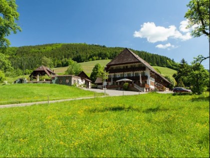 Foto: Gruener Baum